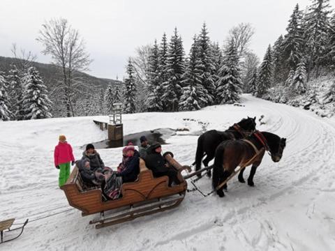 Appartamento Strefa Ciszy -Lawenda Świeradów-Zdrój Esterno foto