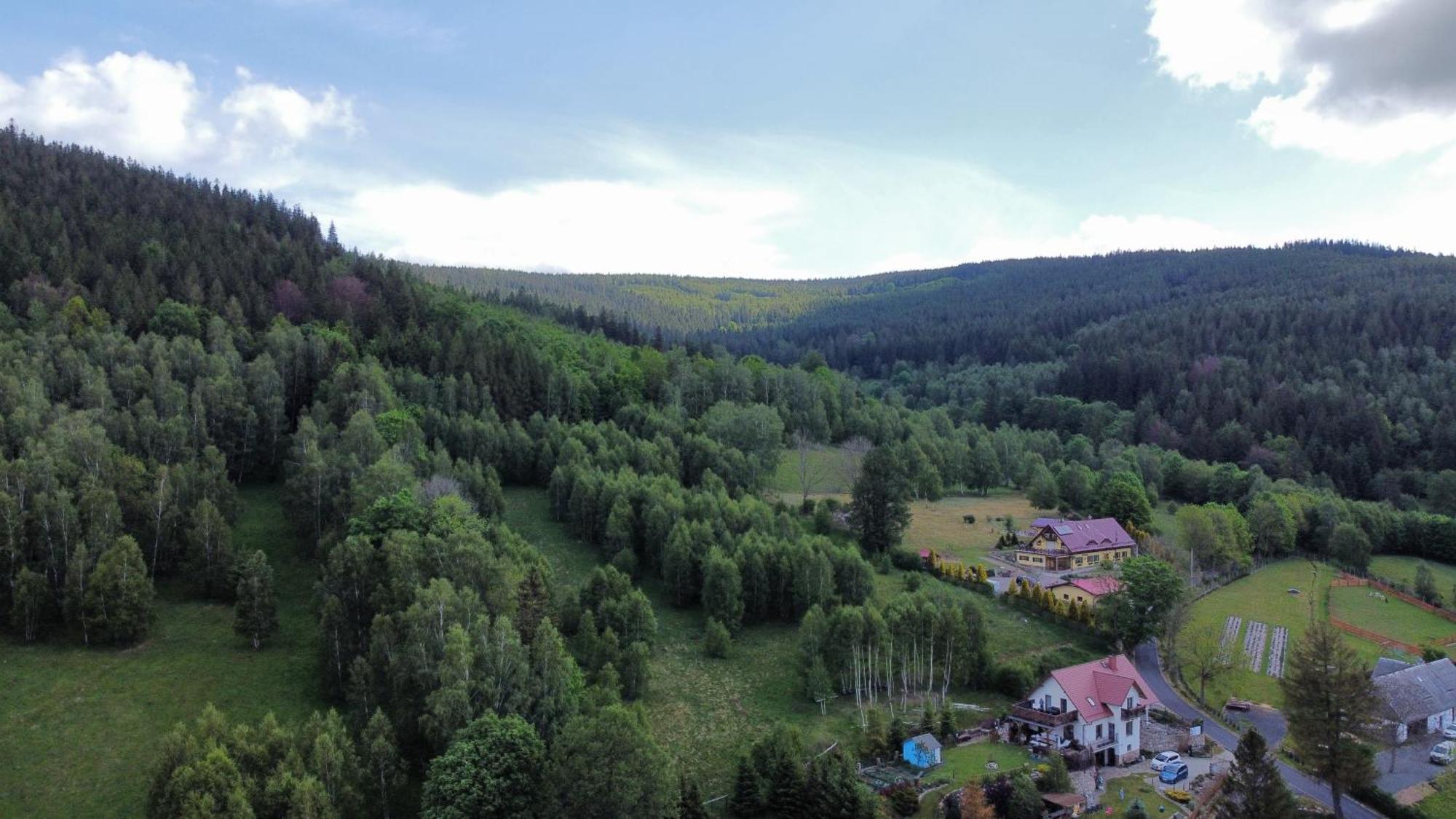 Appartamento Strefa Ciszy -Lawenda Świeradów-Zdrój Esterno foto