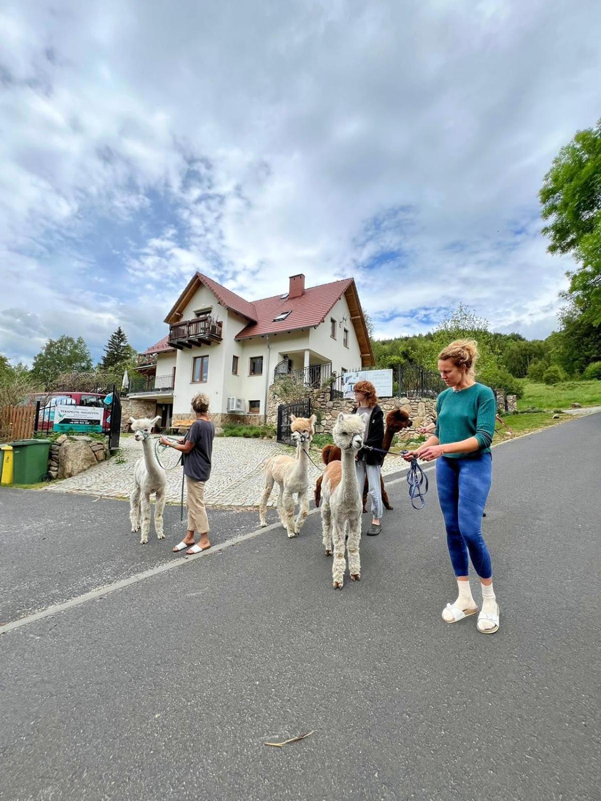 Appartamento Strefa Ciszy -Lawenda Świeradów-Zdrój Esterno foto